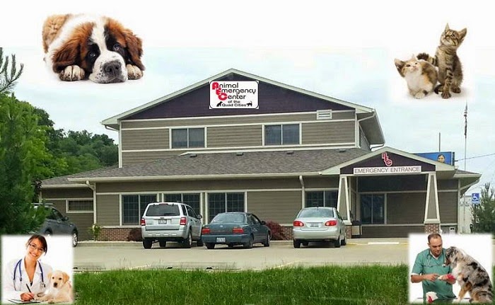 All Pet Emergency Treatment Services