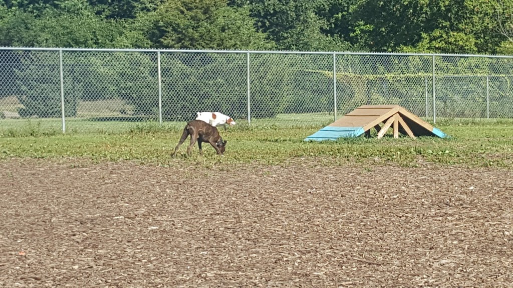 Flying Cloud Off-Leash Dog Park