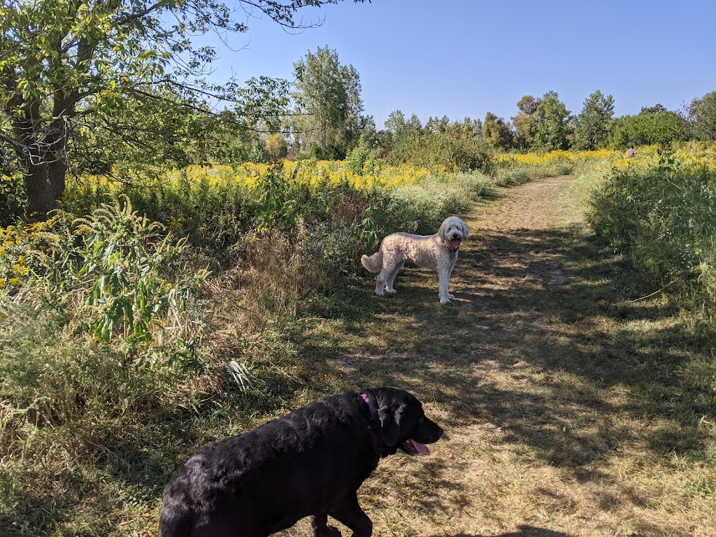 Springbrook Prairie Bark Park