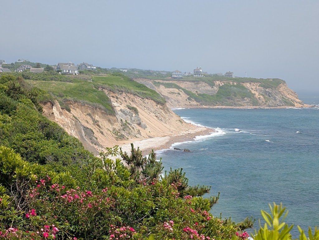 Rodman's Hollow