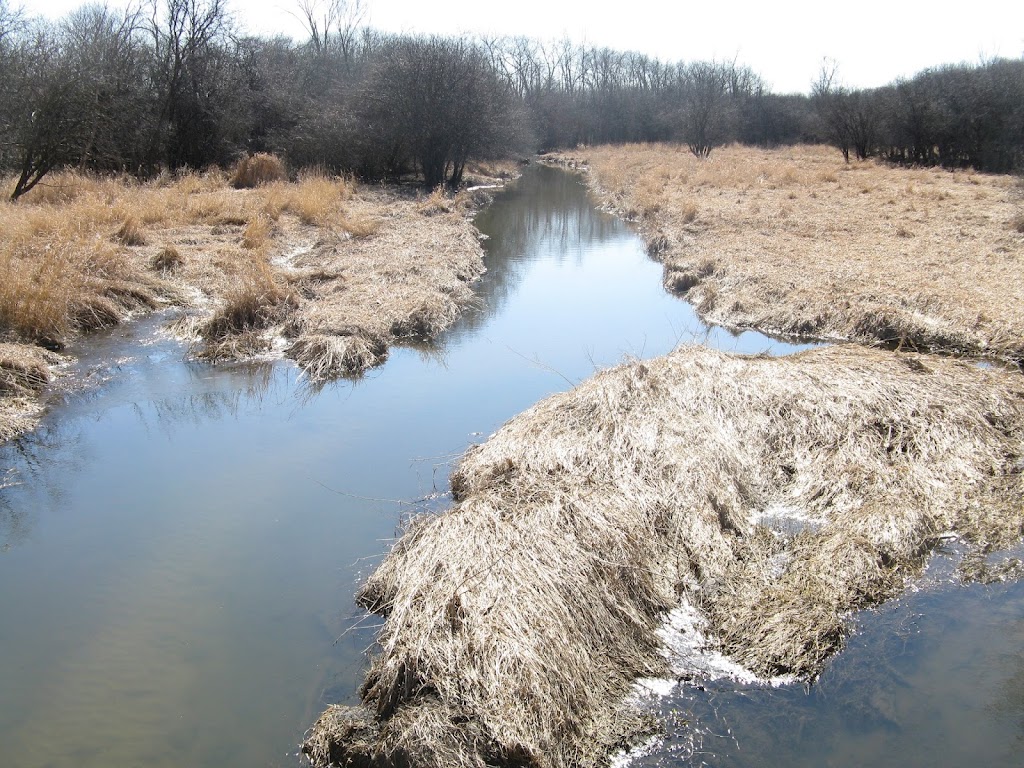 Spring Creek Forest Preserve