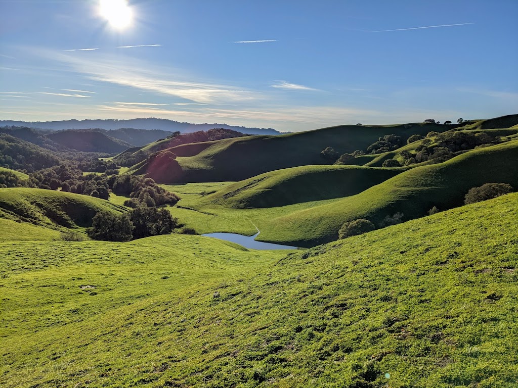 Briones Regional Park