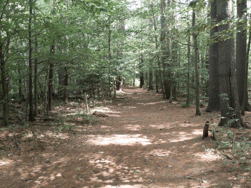 Massabesic Audubon Center