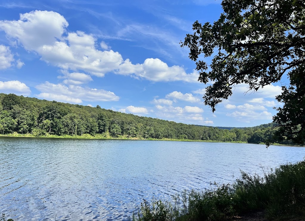 Lake Wilson Off-Leash Dog Park