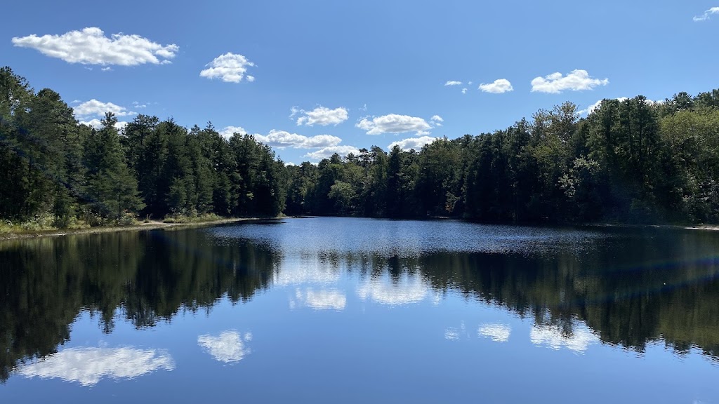 Brendan T. Byrne State Forest