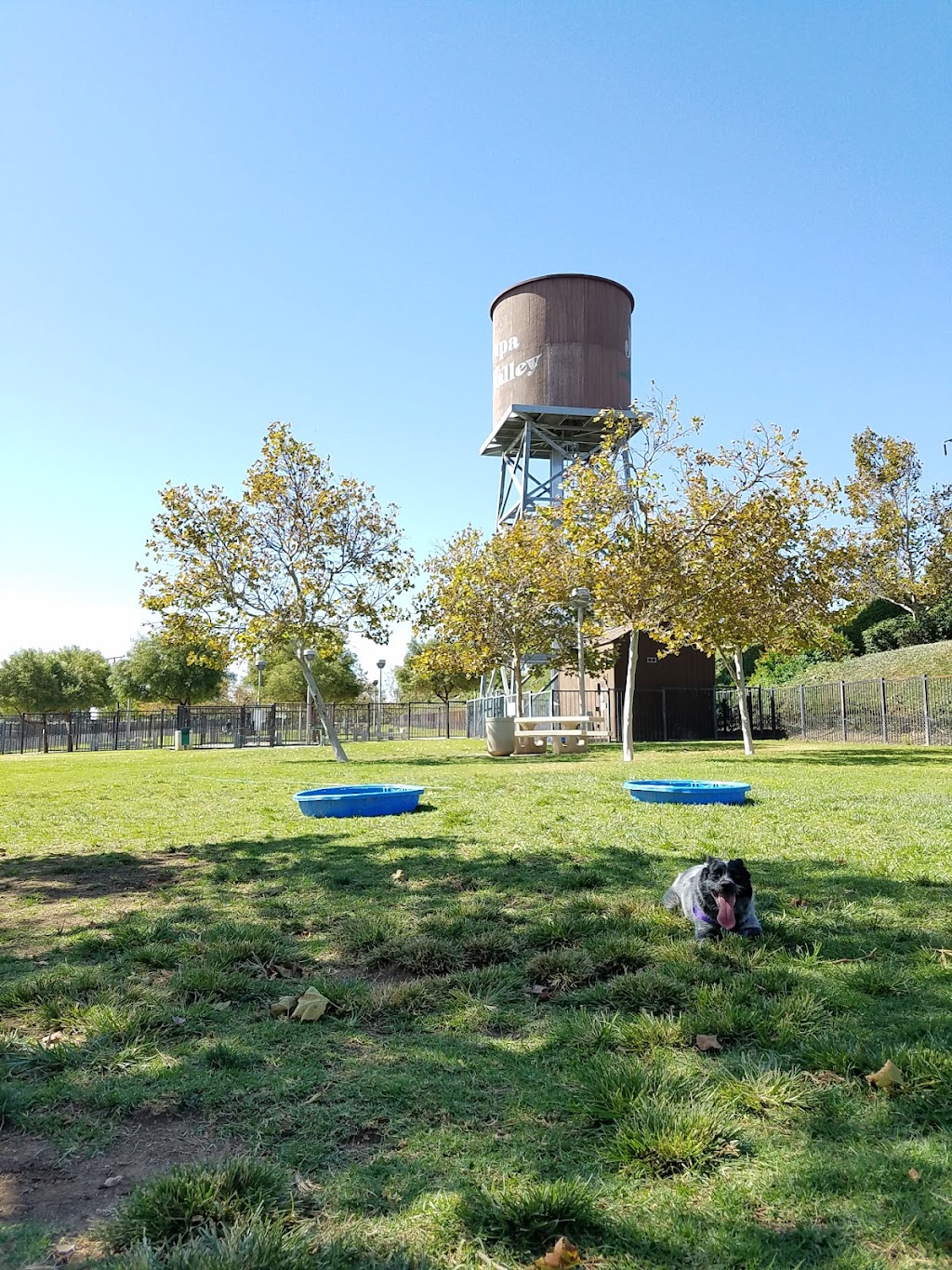 Pat Merritt Dog Park