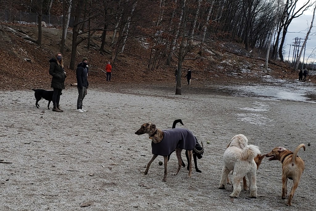 Valley Street Dog Park