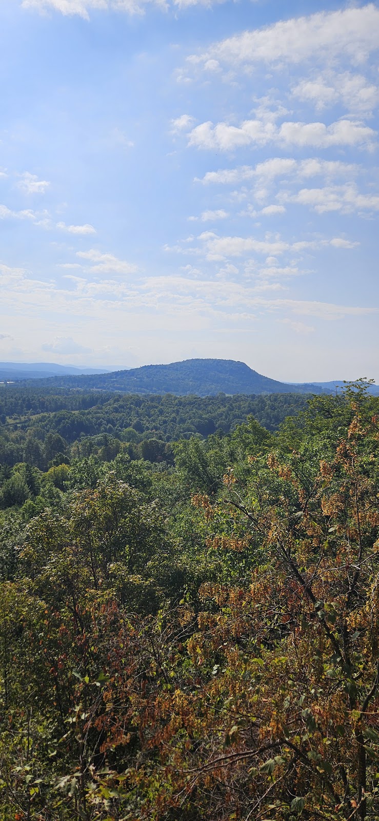 Pease Mountain Natural Area