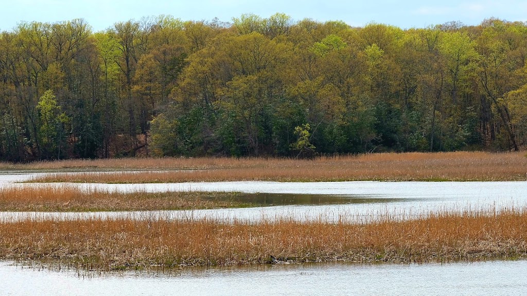 Mason Neck National Wildlife Refuge