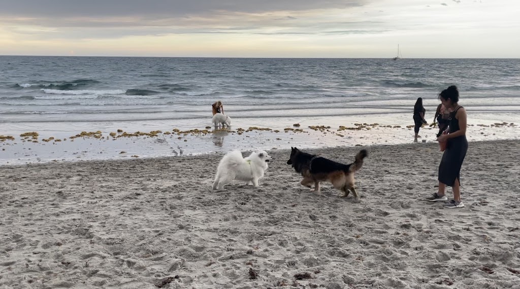 Boca Bark Park