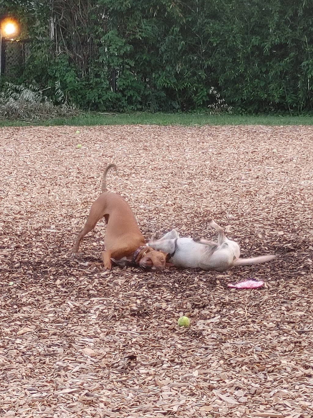 Frederick Dog Park (Hillcrest Park)