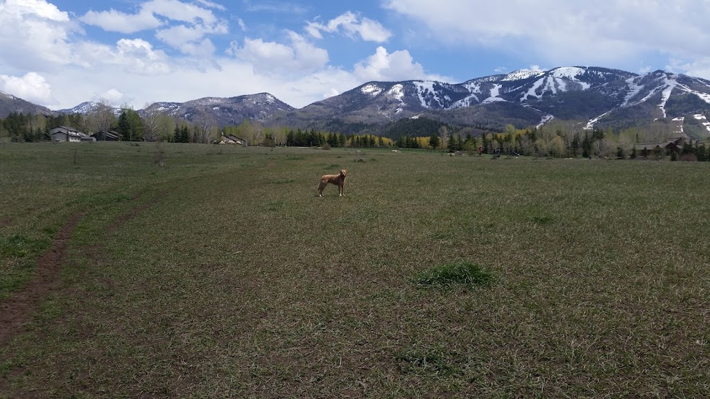Rita Valentine Dog Park