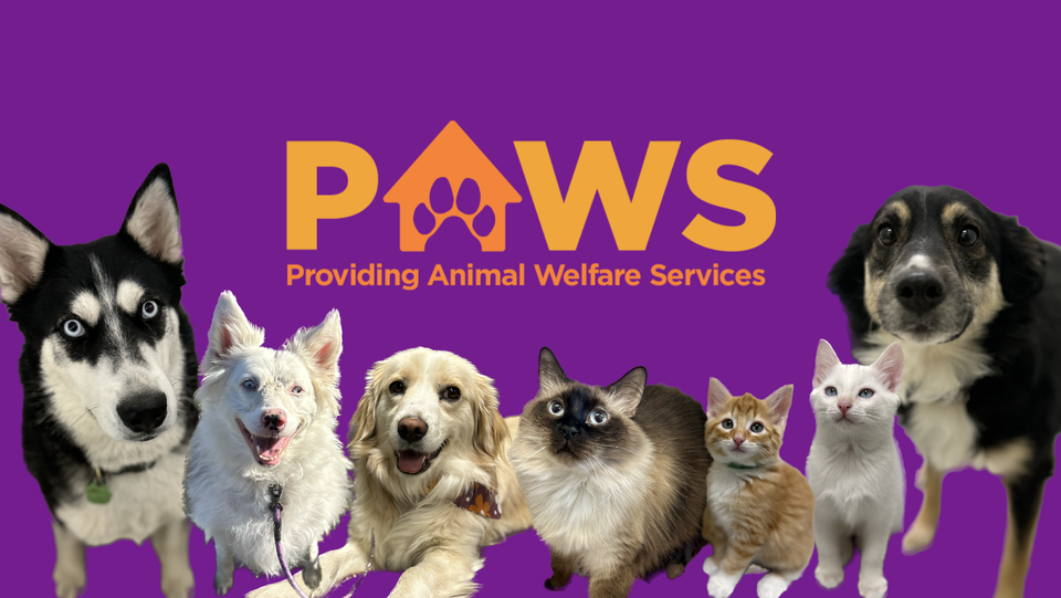 PAWS of Jackson Hole