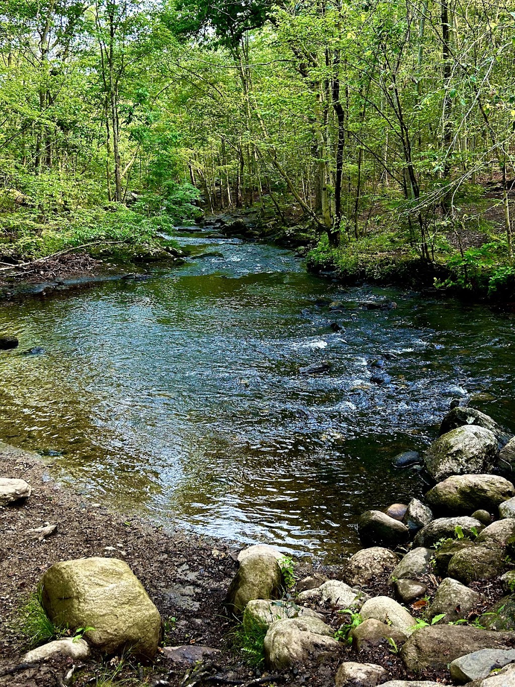 Lake Mohegan Open Space