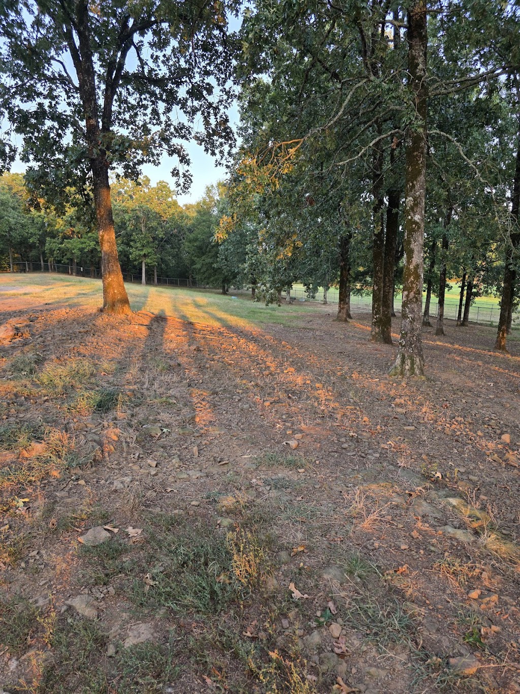 Conway Dog Park