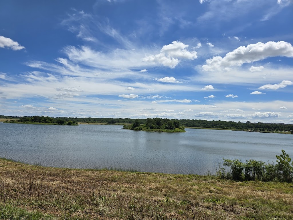 Whalon Lake Forest Preserve