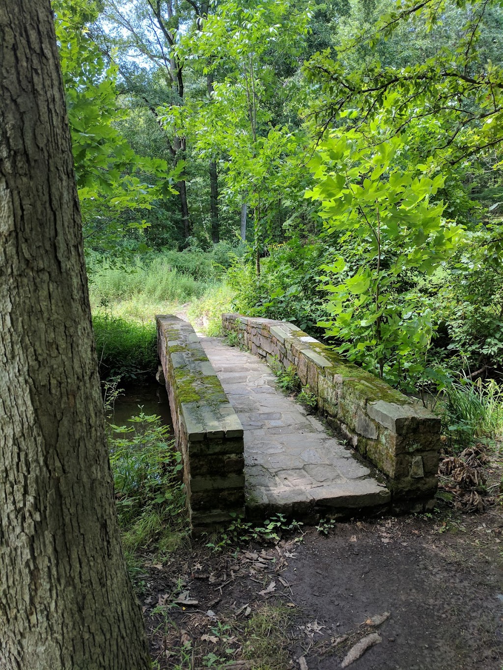 Mountain Lakes Preserve