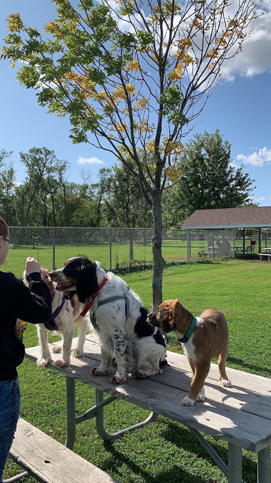 Yunker Farm Dog Park (North Fargo)
