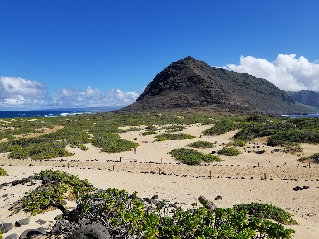 Ka'ena Point Trail (Mokuleia Side)