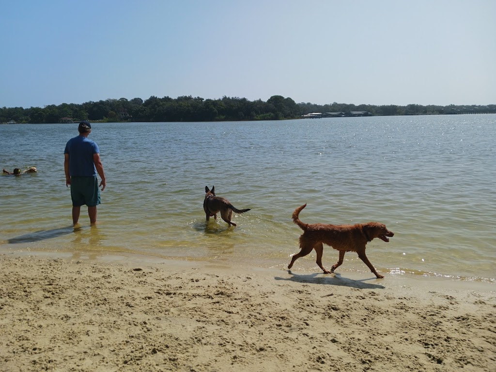 Bayview Park Dog Park