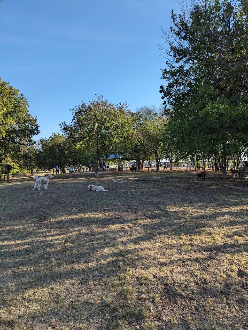 Saint Andrews Dog Park