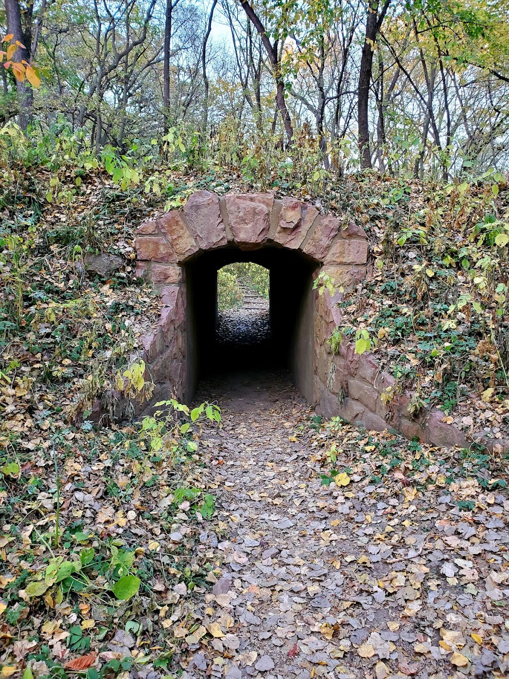 Stone Park Dog Area