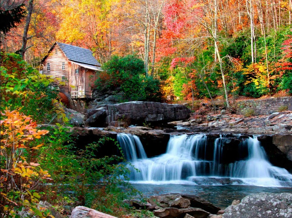 Babcock State Park