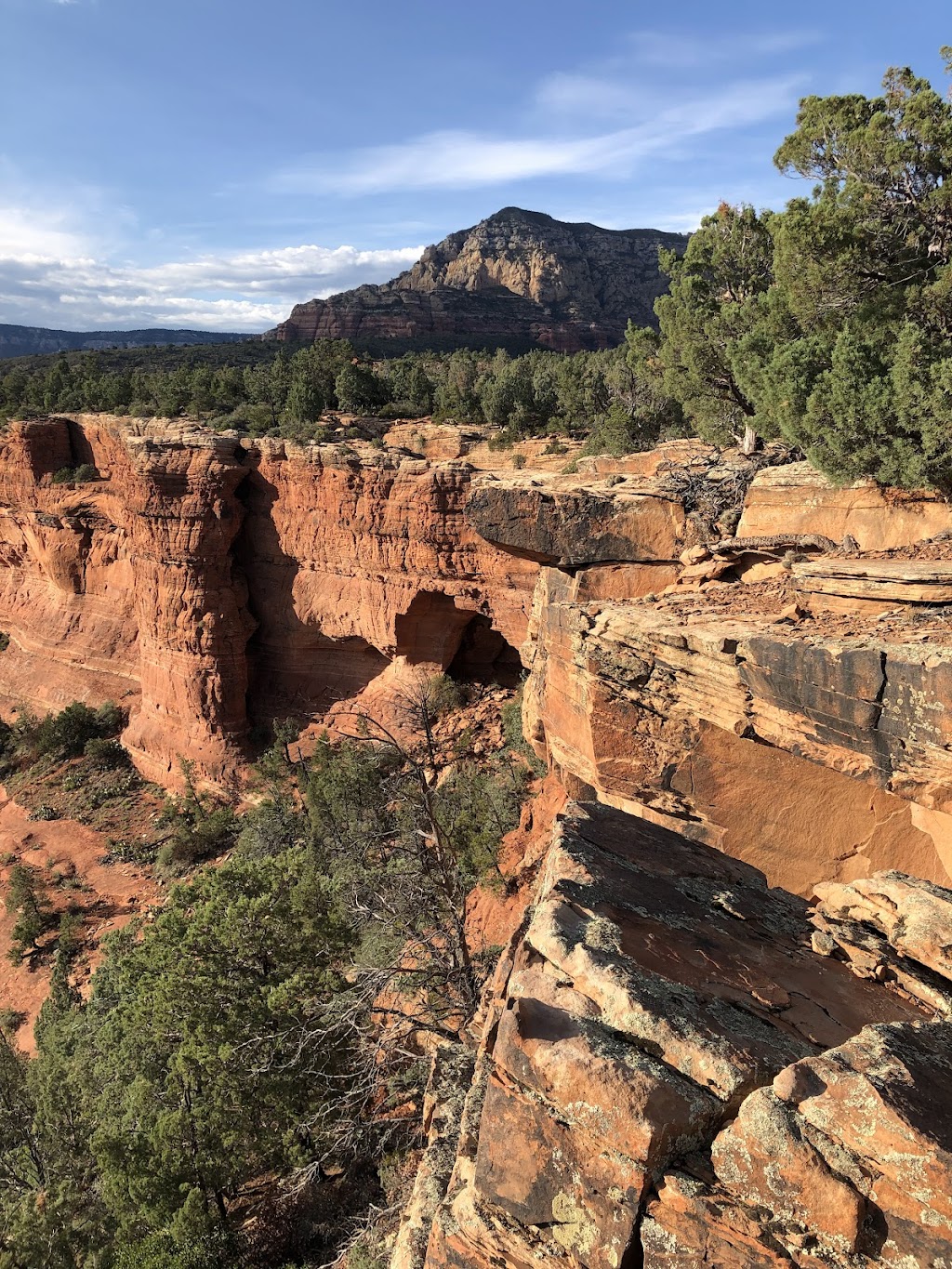 Soldier Pass Trail