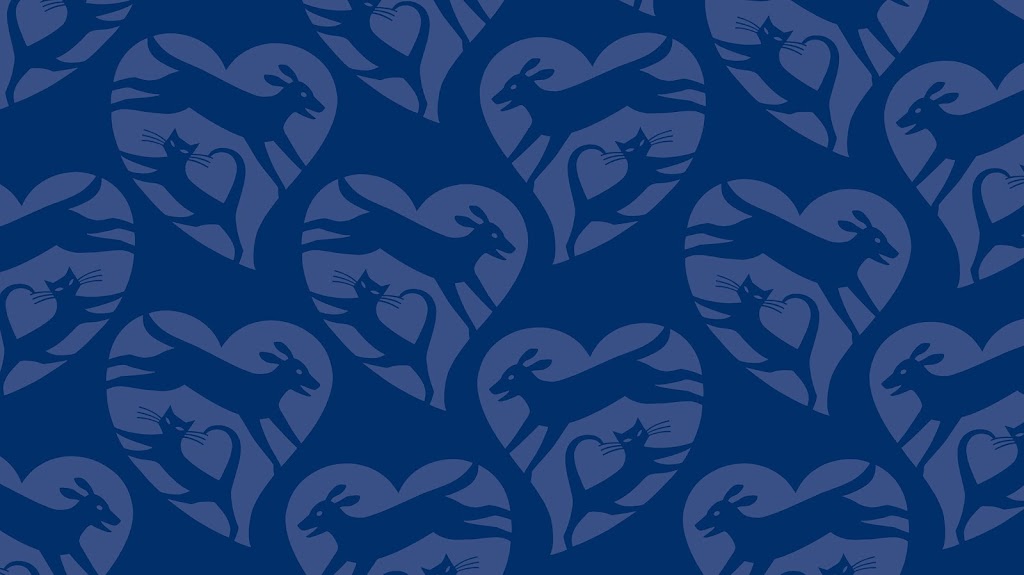 Louisiana SPCA