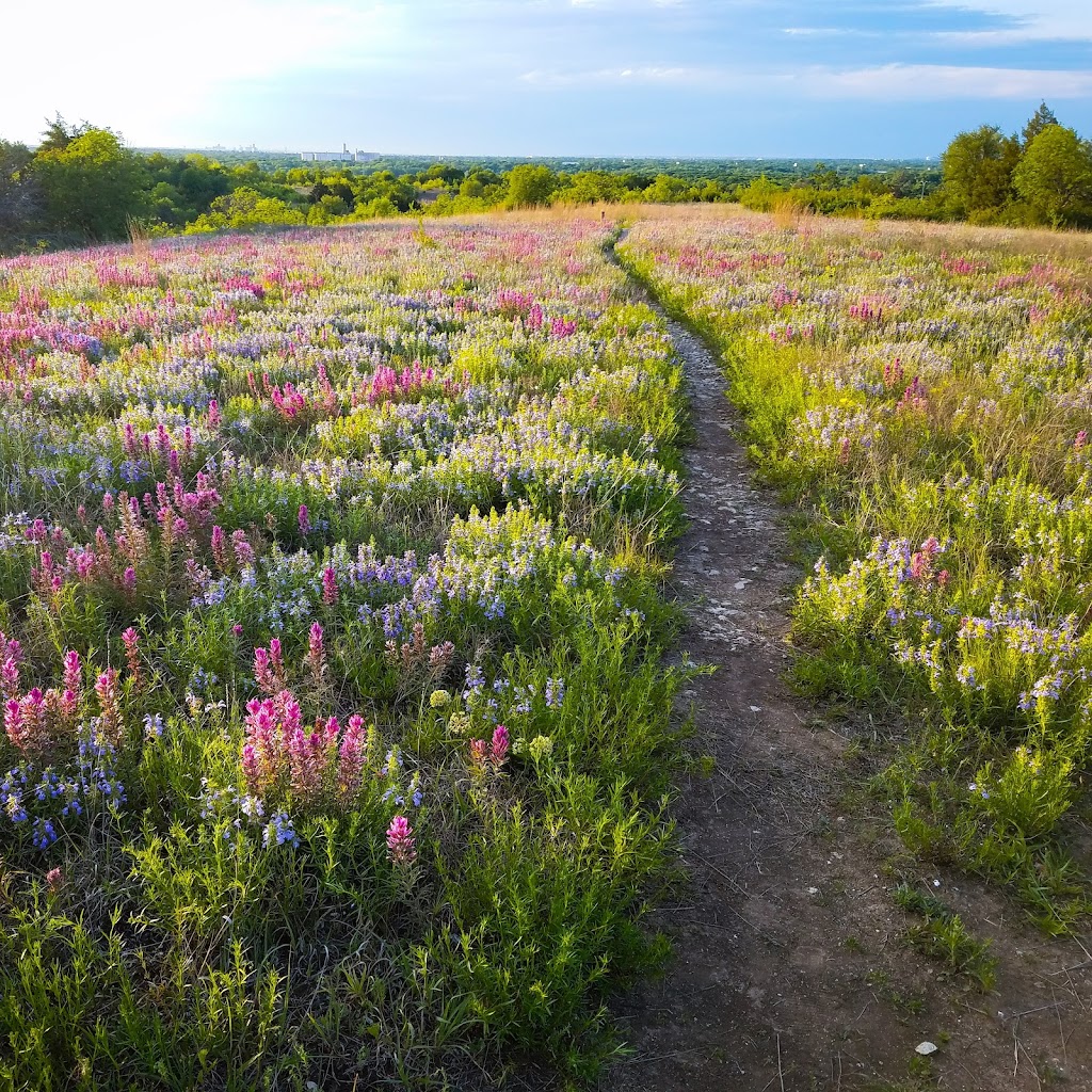 Tandy Hills Natural Area