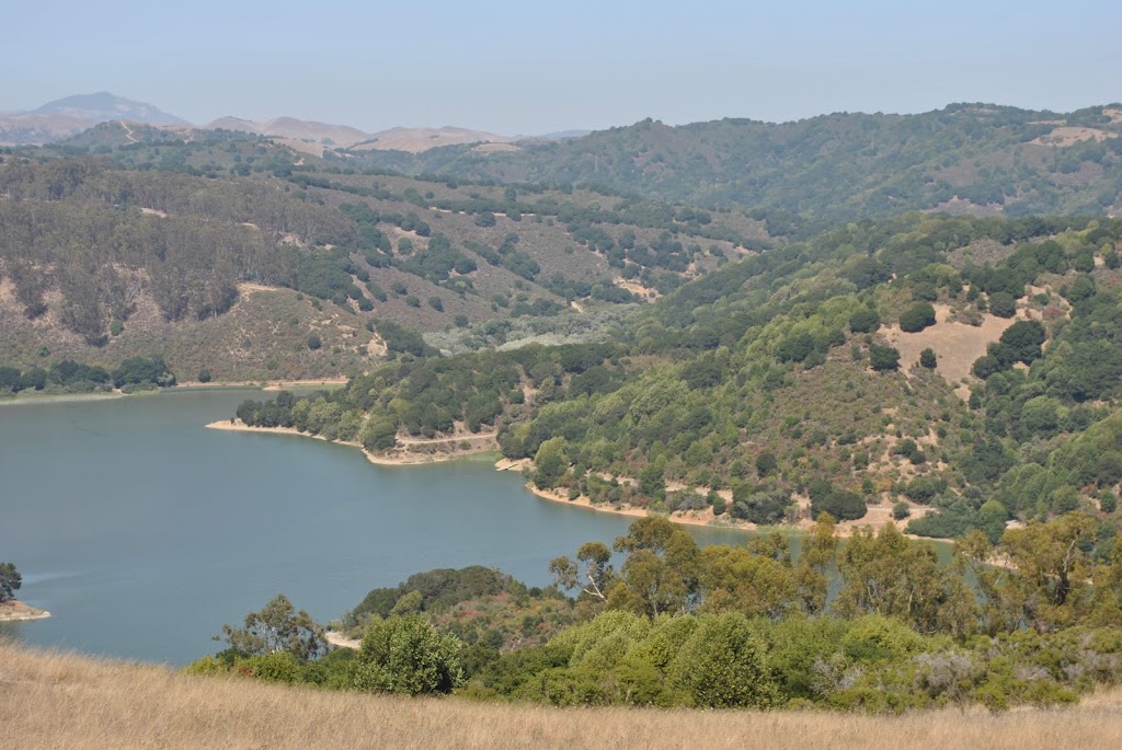 Anthony Chabot Regional Park Dog Area