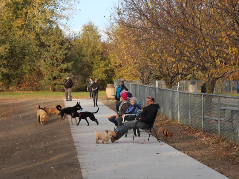 Van Valkenburg Off-Leash Dog Park