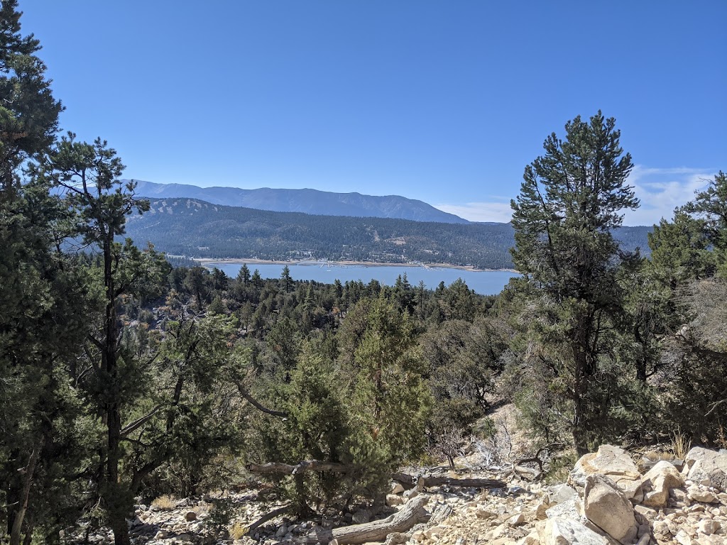 Cougar Crest Trail