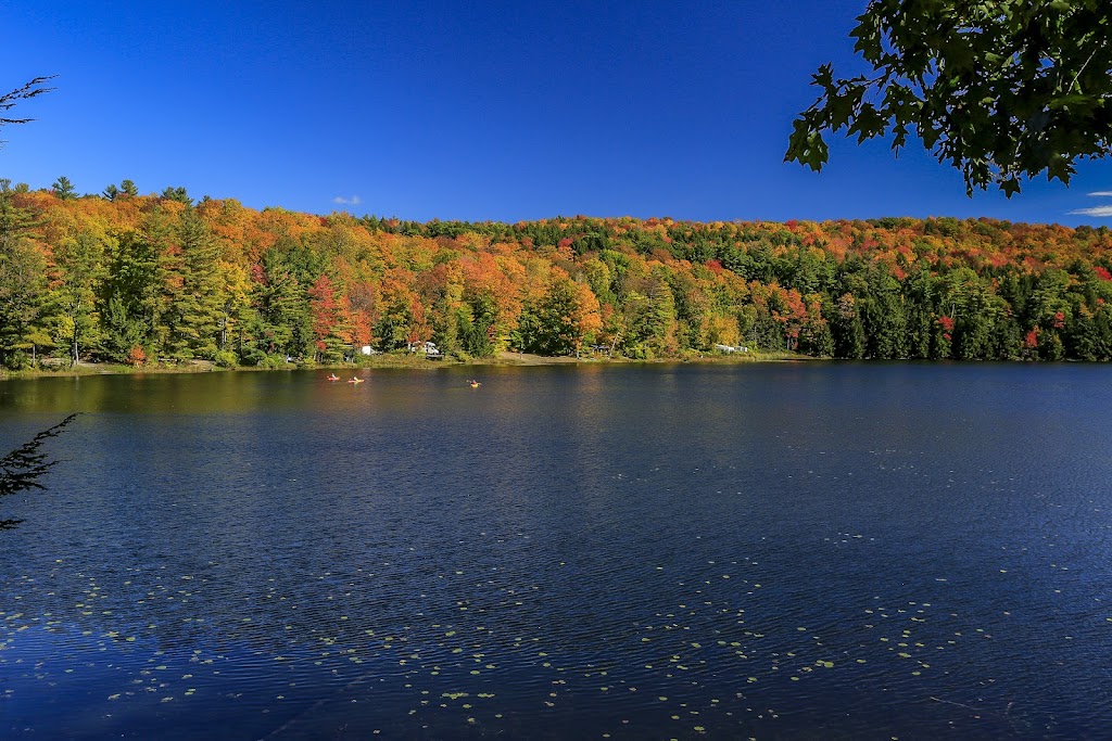 Half Moon Pond State Park