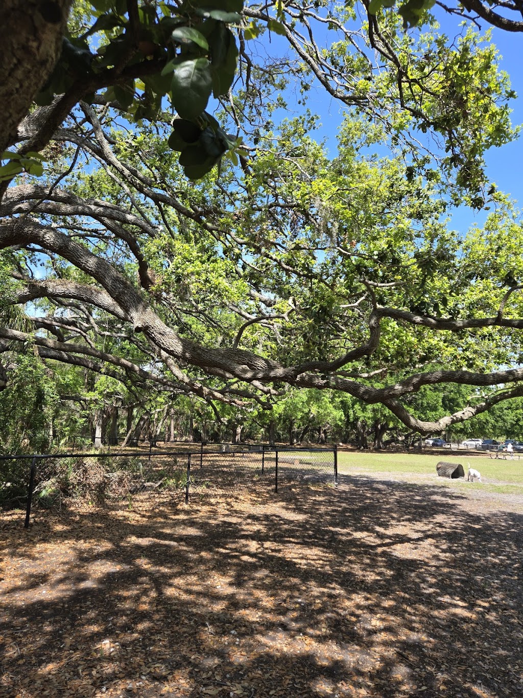 Al Lopez Park Dog Park