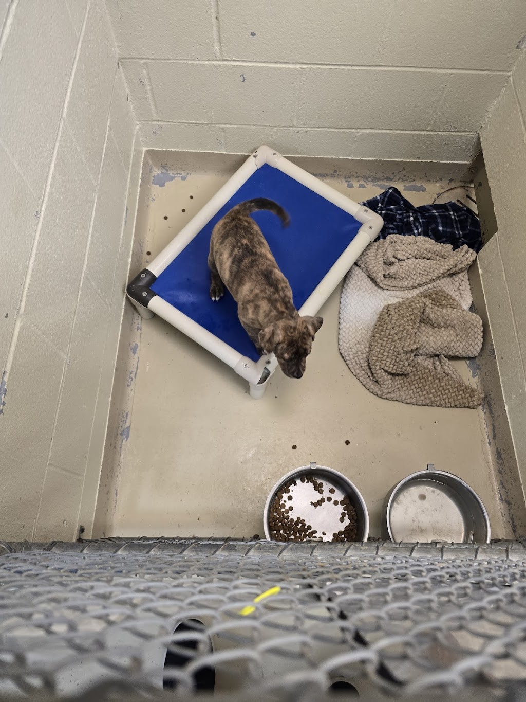Humane Society of Indianapolis