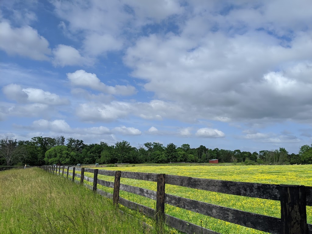 Frying Pan Farm Park