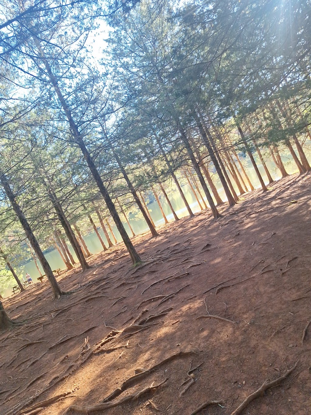 Chris Greene Lake Dog Park