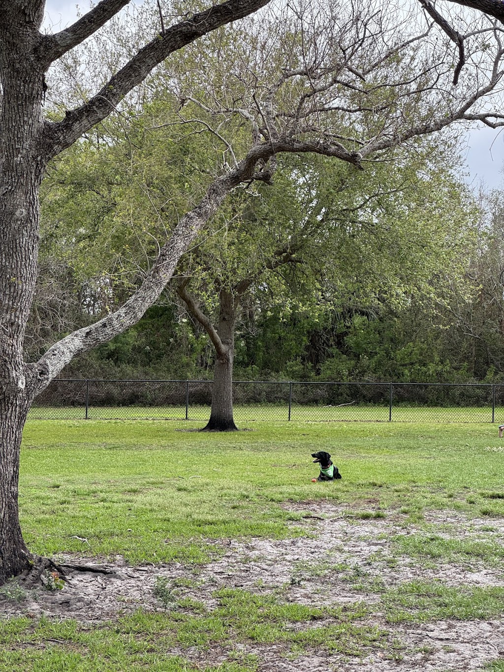 Barber Park Dog Park, Orlando