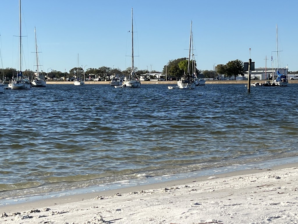 Davis Islands Dog Beach