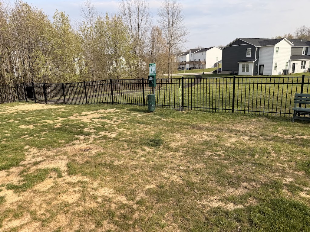 Buffalo Lake Dog Park