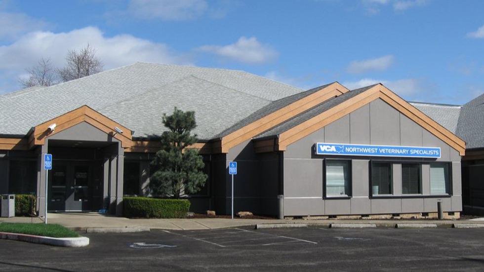 VCA Northwest Veterinary Specialists