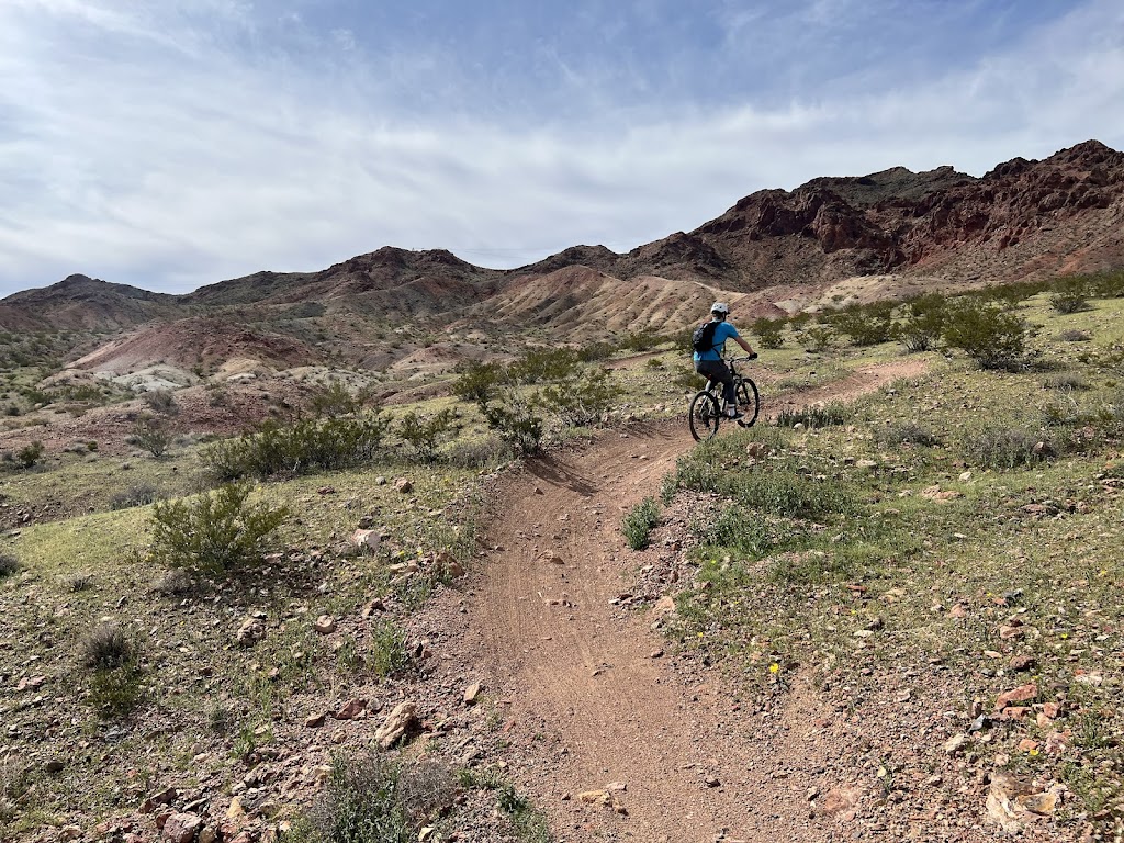 Bootleg Canyon Trails