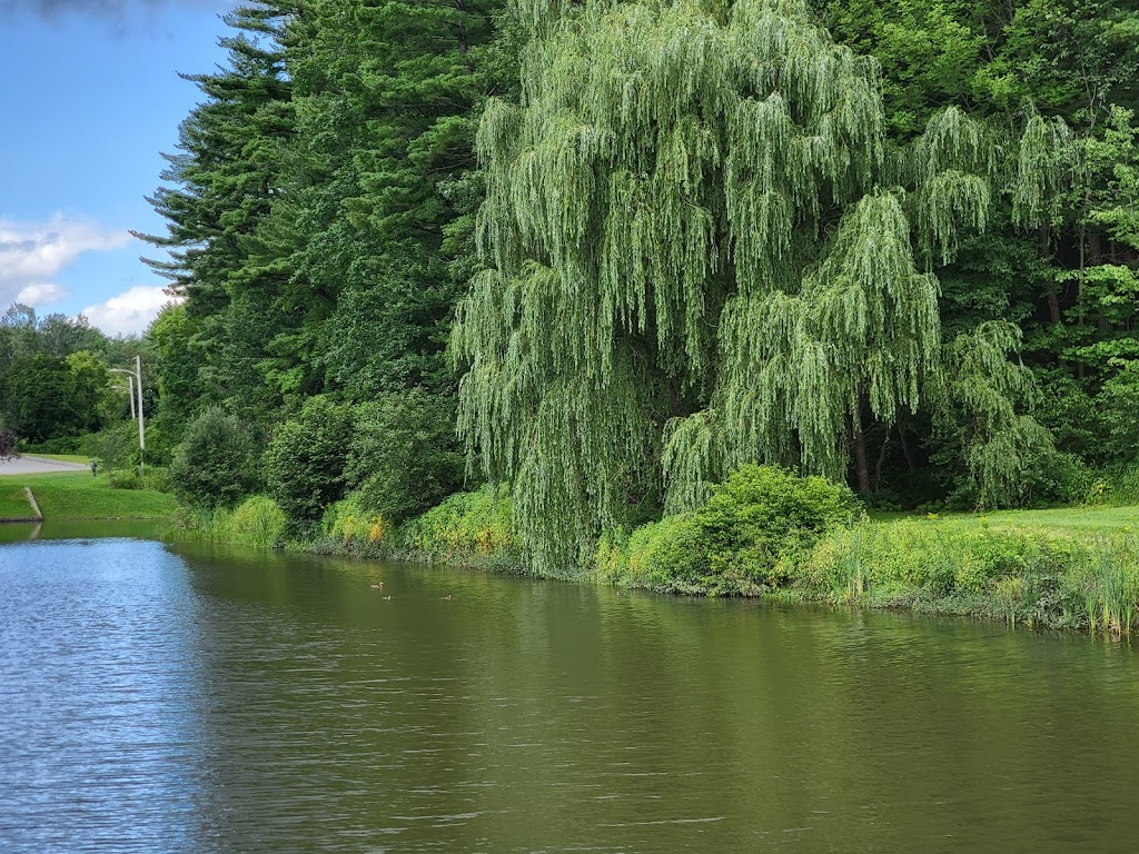 Pettengill Park