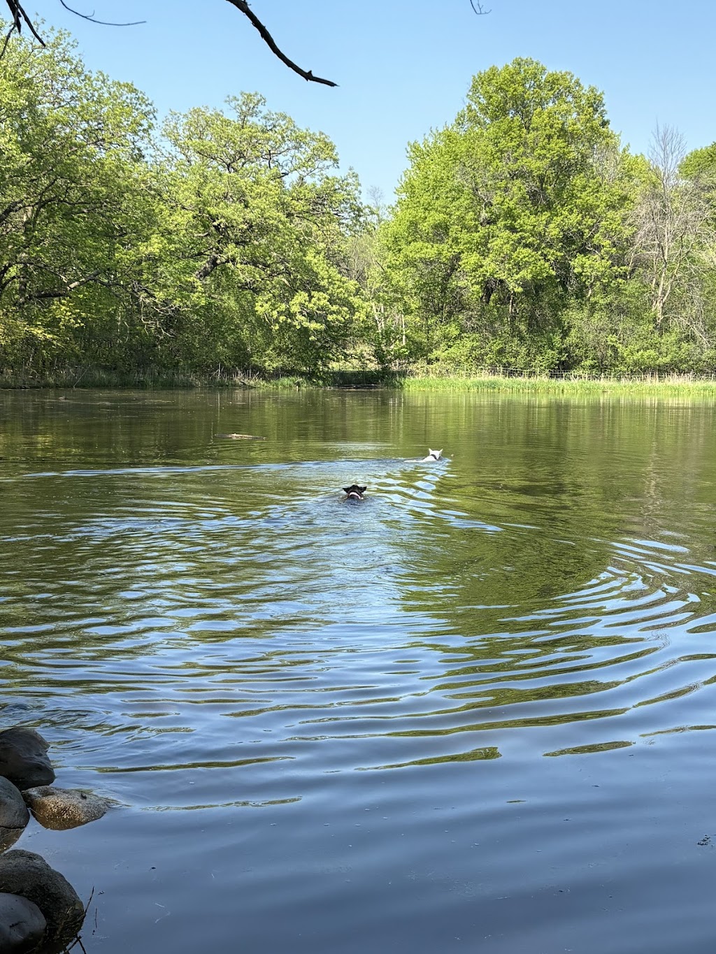 Battle Creek Off-Leash Dog Park