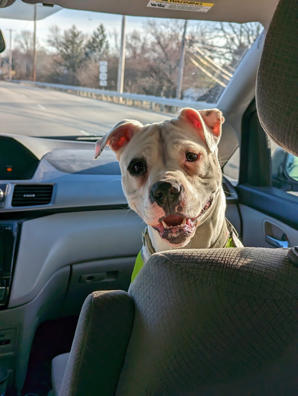 Union County Humane Society