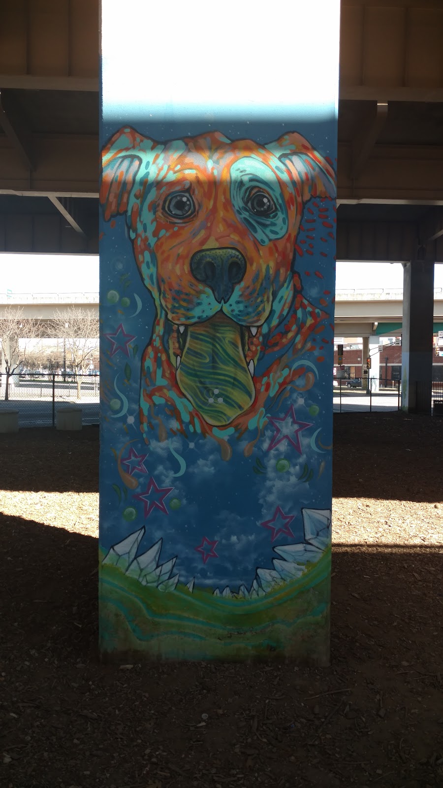 Bark Park Central, Dallas
