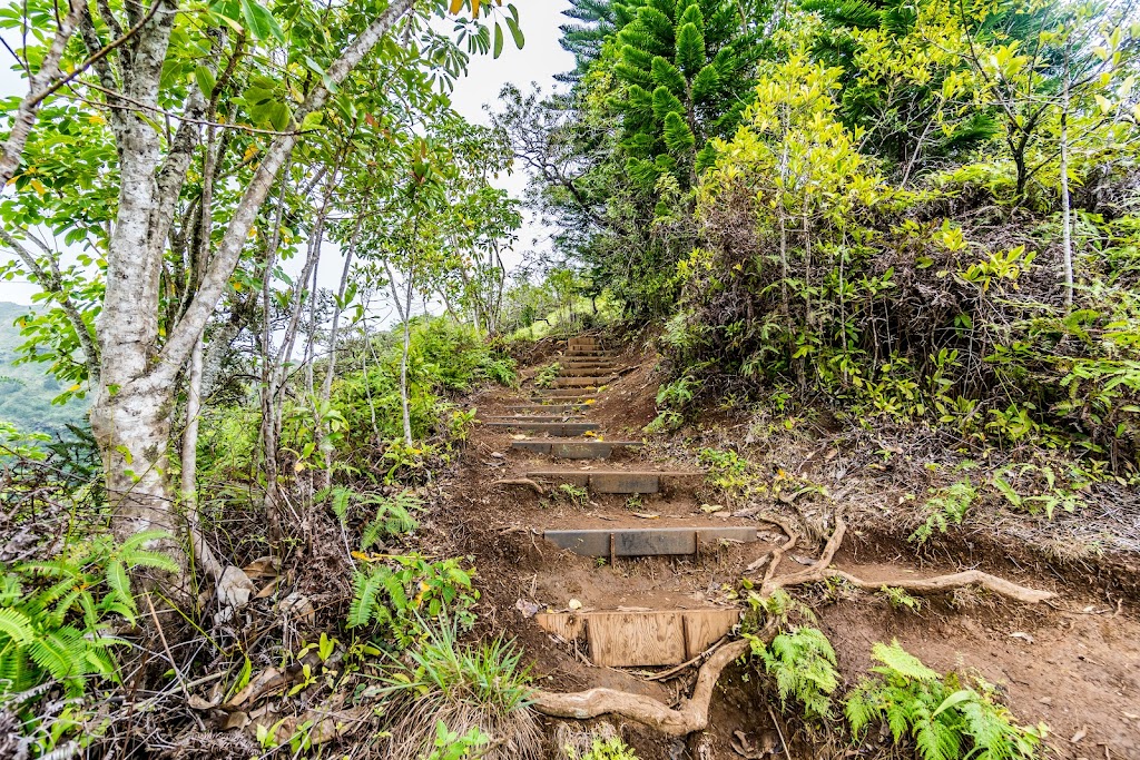 Kuliouou Ridge Trail