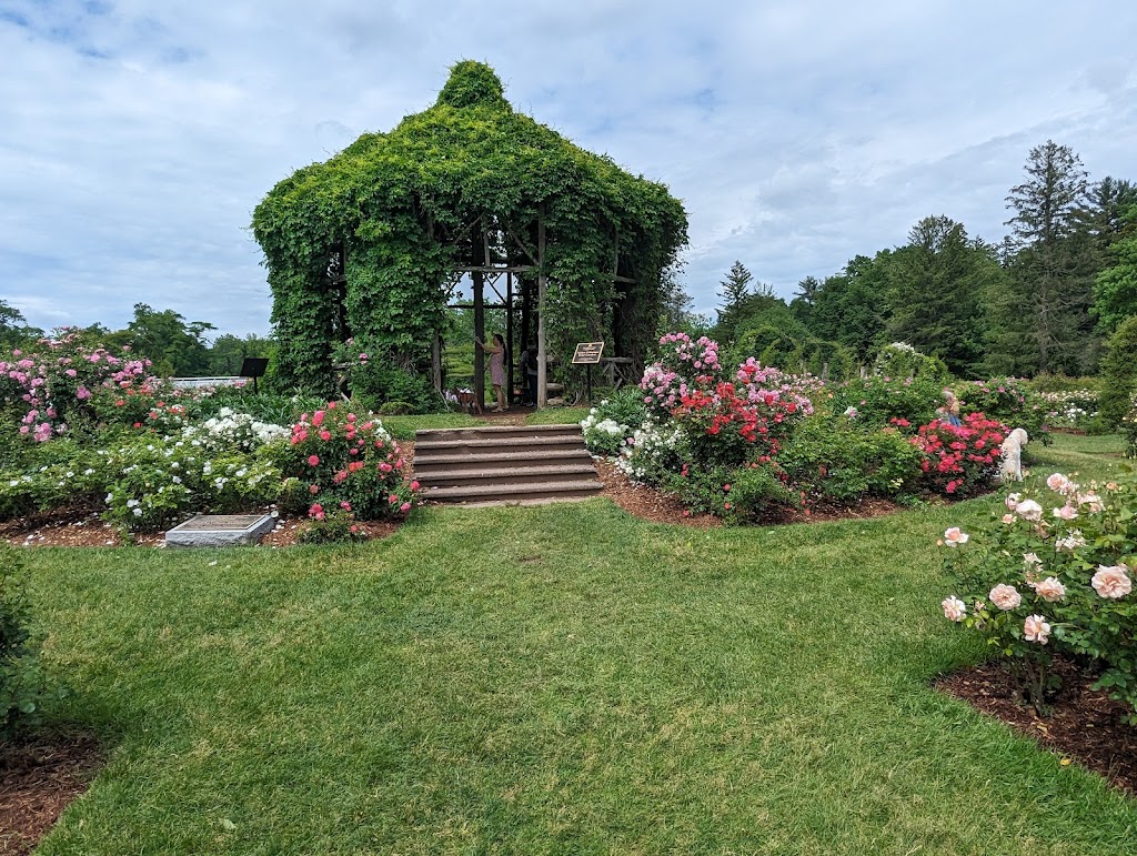 Elizabeth Park