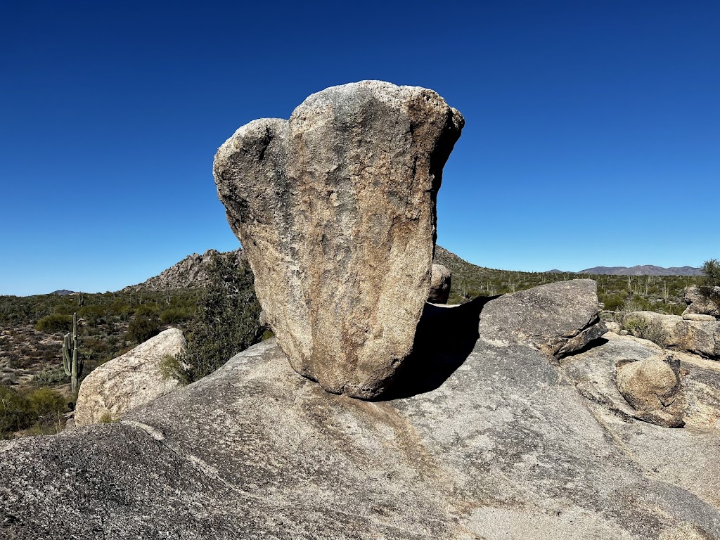 Brown's Ranch / Prince Trail